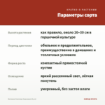 Бегония Элатиор Карнавал (0,1л) — параметры сорта