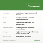 Бегония Gloire de Lorraine White (0,1л) — что приедет