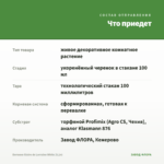 Бегония Gloire de Lorraine White (0,1л) — что приедет