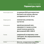 Бегония Gloire de Lorraine White (срез/3шт) — параметры сорта