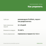 Бегония Gloire de Lorraine White (срез/3шт) — как укоренить черенок