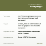 Бегония Gryphon (лист/1шт) — что приедет