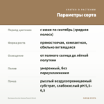 Бегония Iconia Aroma Peach (0,1л) — параметры сорта