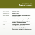 Бегония Iconia Bacio Orange (0,1л) — параметры сорта