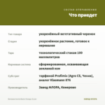 Бегония Iconia Bacio Orange (0,1л) — что приедет