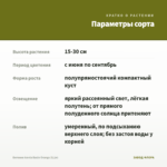 Бегония Iconia Bacio Orange (0,1л) — параметры сорта