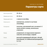 Бегония Iconia Portofino CITRIX (0,1л) — параметры сорта