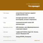 Бегония Iconia Portofino CITRIX (0,1л) — что приедет