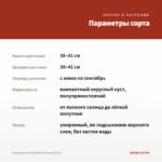 Бегония Iconia Portofino Orange (0,1л) — параметры сорта