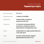 Бегония Iconia Portofino Orange (0,1л) — параметры сорта