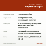 Бегония Iconia Upright Fire (0,1л) — параметры сорта