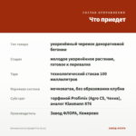 Бегония Iconia Upright Fire (0,1л) — что приедет