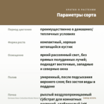 Бегония Ilona Collection Nicole Stone (0,1л) — параметры сорта