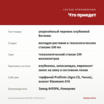 Бегония Клубневая NONSTOP JOY RED (0,1л) — что приедет