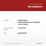 Бегония Клубневая NONSTOP JOY RED (срез/3шт) — как укоренить черенок