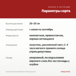 Бегония Клубневая NONSTOP JOY RED (срез/3шт) — параметры сорта
