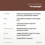 Бегония Малайзия (0,1л) — что приедет