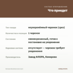 Бегония Малайзия (лист/1шт) — что приедет