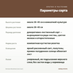 Бегония Малайзия (лист/1шт) — параметры сорта