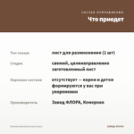 Бегония Малайзия (лист/1шт) — что приедет