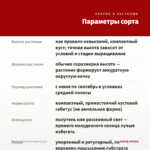 Бегония NonStop Flame (0,1л) — параметры сорта