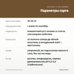 Бегония Solenia Apricot (0,1л) — параметры сорта