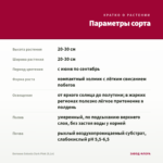 Бегония Solenia Dark Pink (0,1л) — параметры сорта