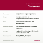 Бегония Solenia Dark Pink (0,1л) — что приедет