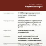 Бегония Соли-Мутата/Soli-Mutata (срез/1лист) — параметры сорта