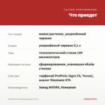 Бегония вечноцветущая Bella (0,1л) — что приедет