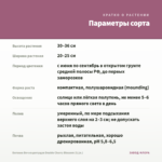 Бегония Вечноцветущая Double Cherry Blossom (0,1л.) — параметры сорта