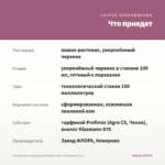 Бегония Вечноцветущая Double Cherry Blossom (0,1л.) — что приедет