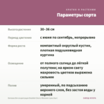 Бегония Вечноцветущая Doublet Cherry Blossom (срез/3шт) — параметры сорта