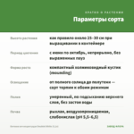 Бегония вечноцветущая Doublet White (0,1л) — параметры сорта