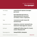 Бегония вечноцветущая Gumdrop Coco Rеd (0,1л) — что приедет