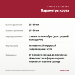 Бегония вечноцветущая Gumdrop Coco Rеd (0,1л) — параметры сорта