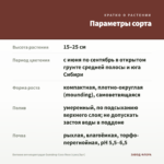 Бегония вечноцветущая Gumdrop Coco Rose (срез/3шт) — параметры сорта