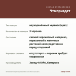 Бегония вечноцветущая Gumdrop Coco Rose (срез/3шт) — что приедет