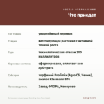 Бегония вечноцветущая Gumdrop Coco Rose (0,1л) — что приедет