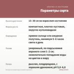 Бегония вечноцветущая Lucenets (срез/3шт) — параметры сорта
