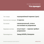Бегония вечноцветущая Lucenets (срез/3шт) — что приедет