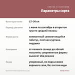 Бегония вечноцветущая Лученец (0,1л) — параметры сорта