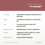 Бегония вечноцветущая Лученец (0,1л) — что приедет
