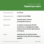 Бегония вечноцветущая Лученец (срез/3шт) — параметры сорта