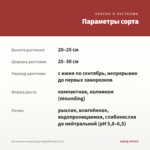 Бегония вечноцветущая Nightlife Red (0,1л) — параметры сорта