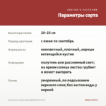 Бегония вечноцветущая Nightlife Red (0,1л) — параметры сорта