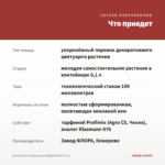 Бегония вечноцветущая Nightlife Red (0,1л) — что приедет