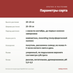 Бегония вечноцветущая Nightlife Red (срез/3шт) — параметры сорта