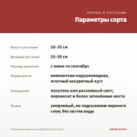 Бегония вечноцветущая Nightlife Red (срез/3шт) — параметры сорта