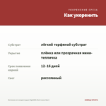 Бегония вечноцветущая Nightlife Red (срез/3шт) — как укоренить черенок